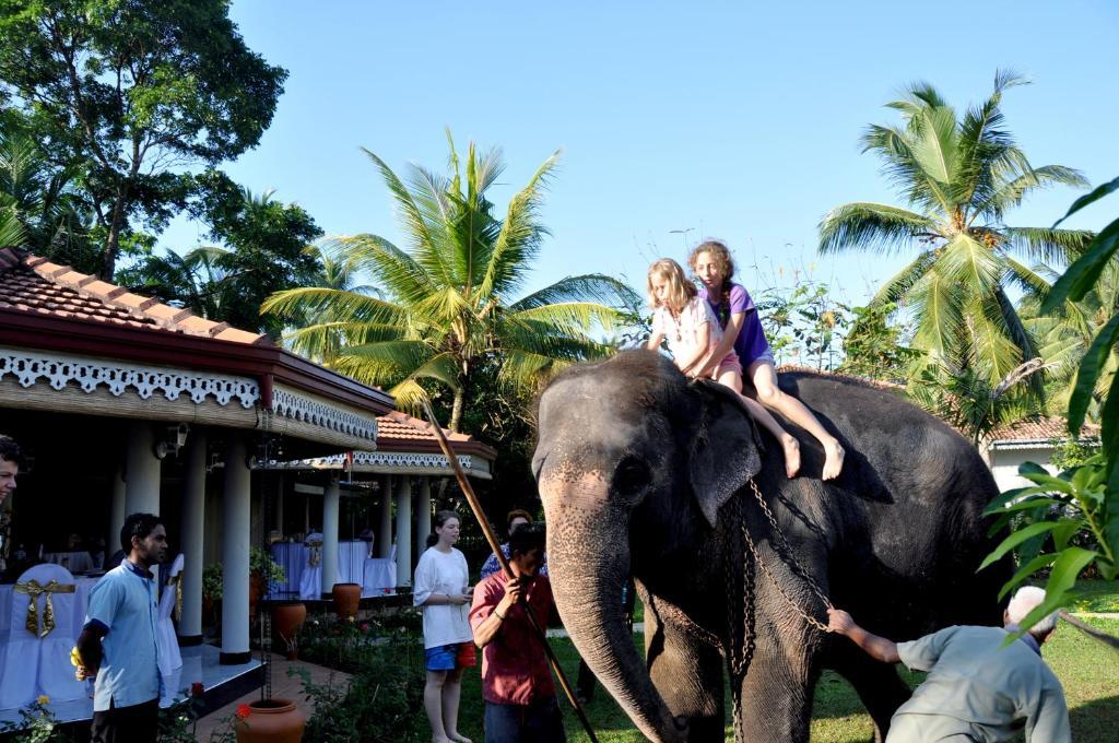 Bougain Villa Bentota Exteriér fotografie