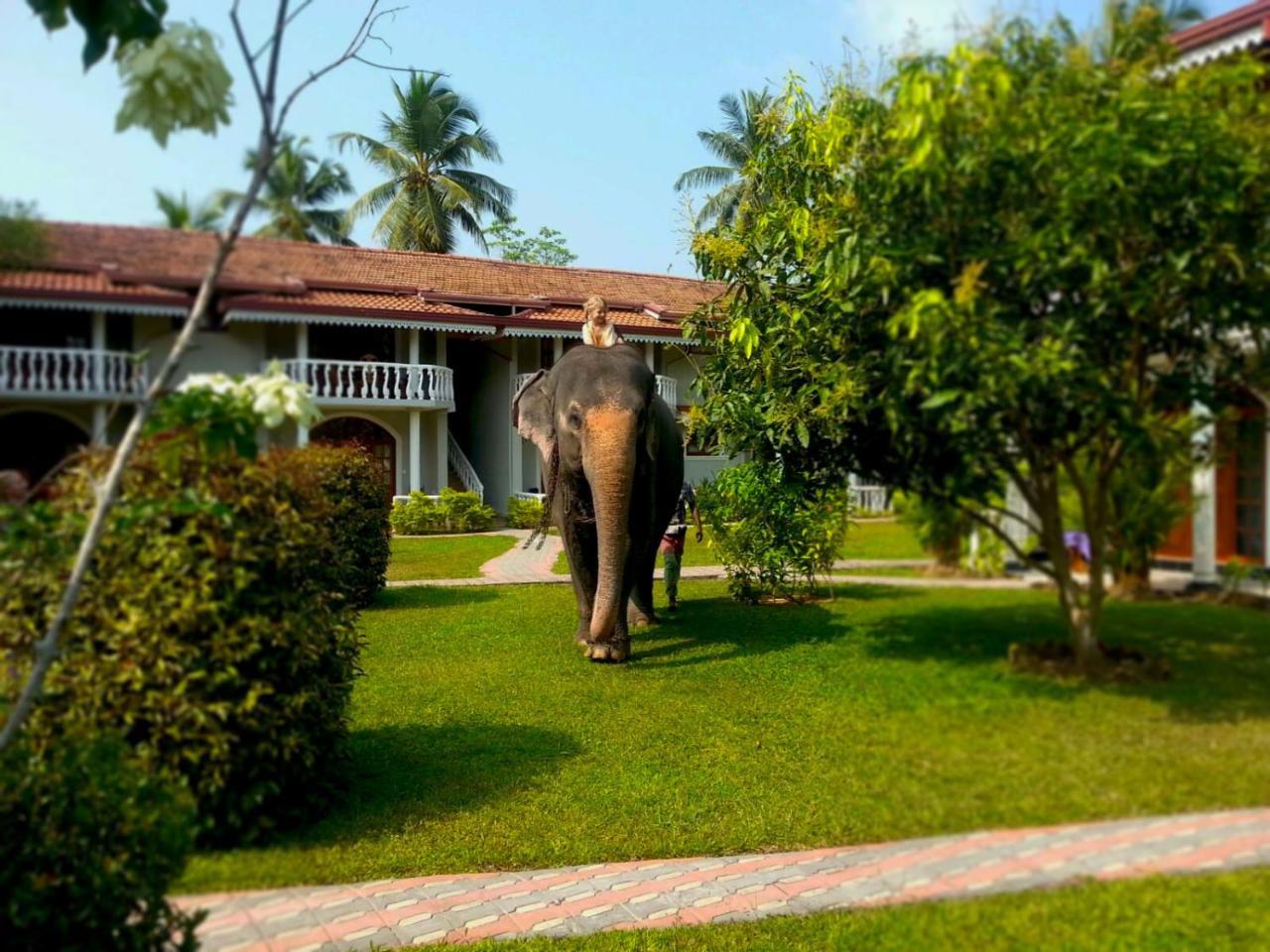 Bougain Villa Bentota Exteriér fotografie